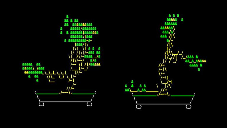 Cbonsai installation and usage commands