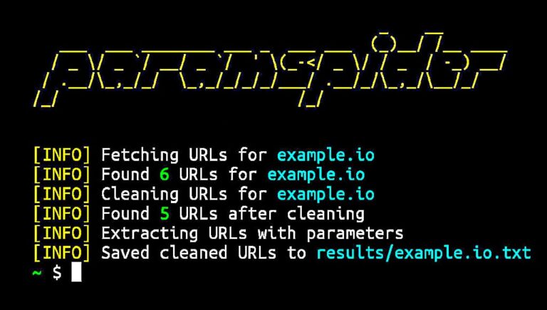 url parameter discovery and web recon tool