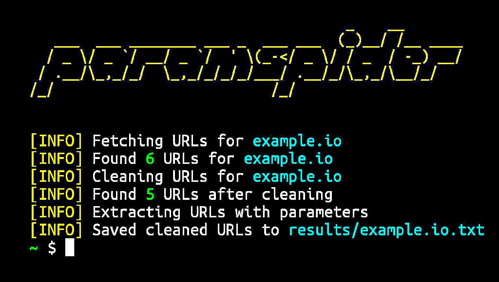 url parameter discovery and web recon tool